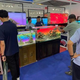 Bể Cá Phi Tần