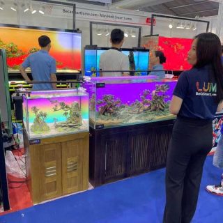 Đèn rọi mayin 200W