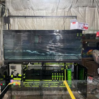 Bể Cá Tự Động 2.55m