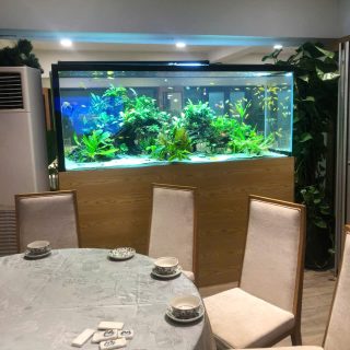 Thi Công Ủy Ban Thành Phố Hà Nội