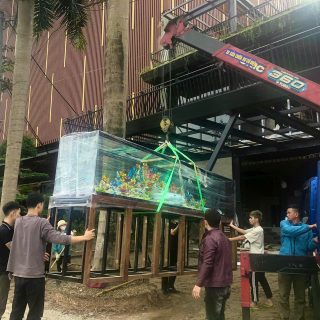 Bể cá 5.3m