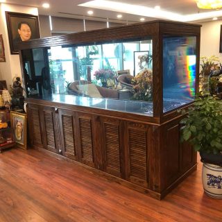 Bể Chú Tiền Gluxenco 36 hoàng cầu