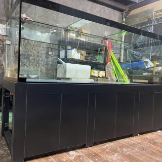 bể cá công nghệ vinhome Riversai