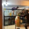 Kính Gia Khánh - Nơi thi công bể cá to nhất
