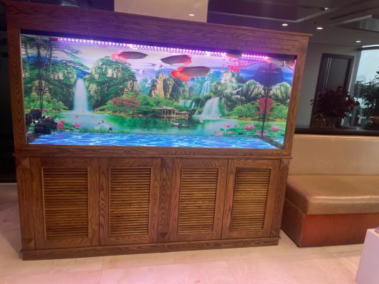 Xuất khẩu bể cá
