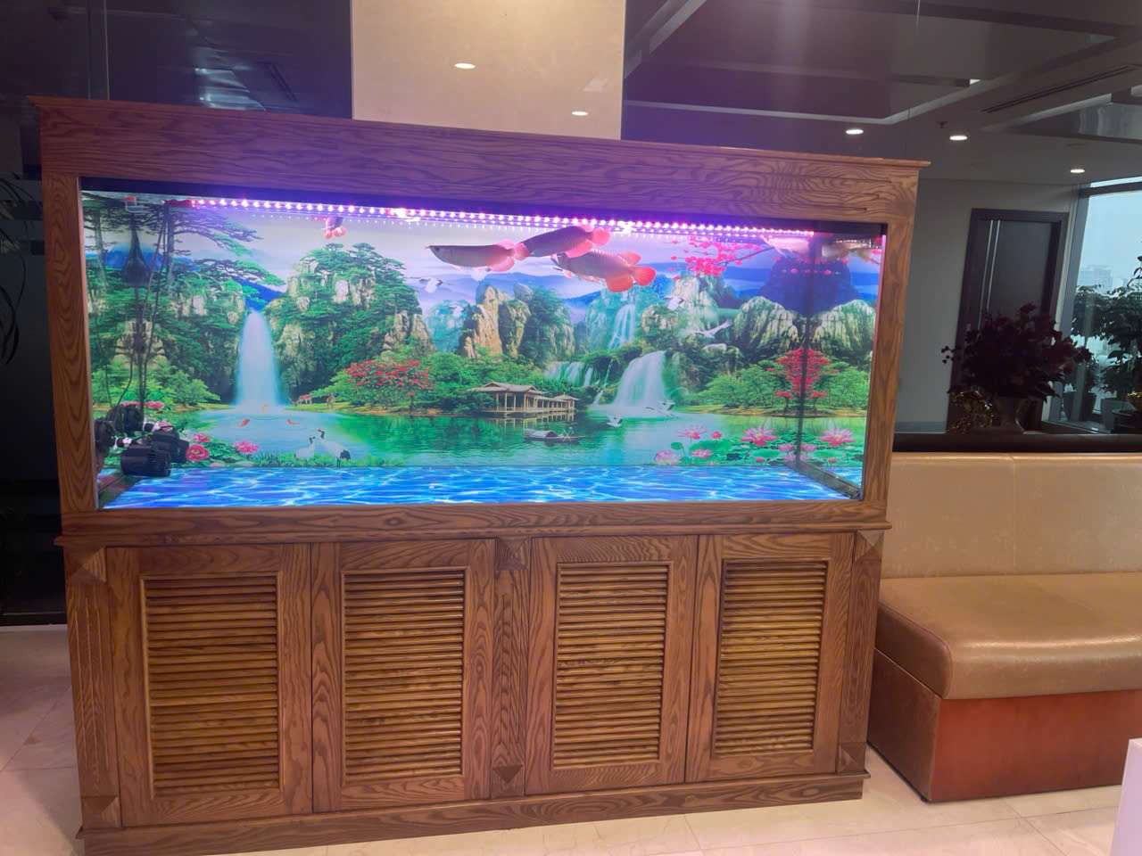 Xuất khẩu bể cá