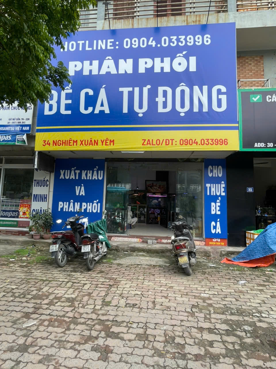 Mua bể cá thủy sinh ở Hà Nội