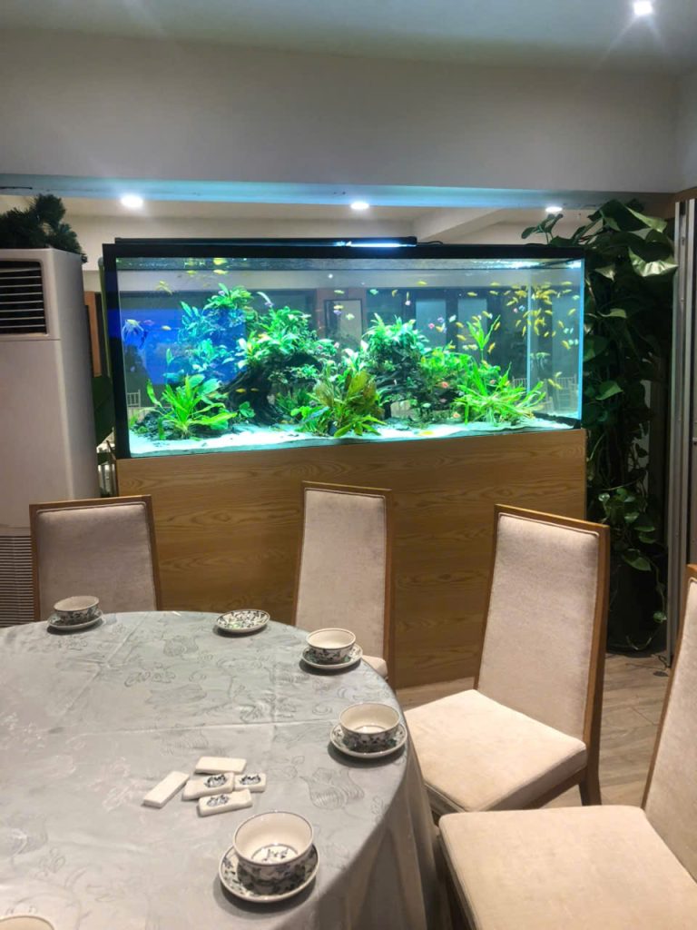 Hồ cá 80x40x40
