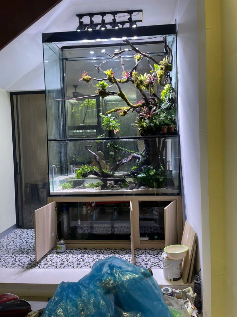 Phân phối bể cá