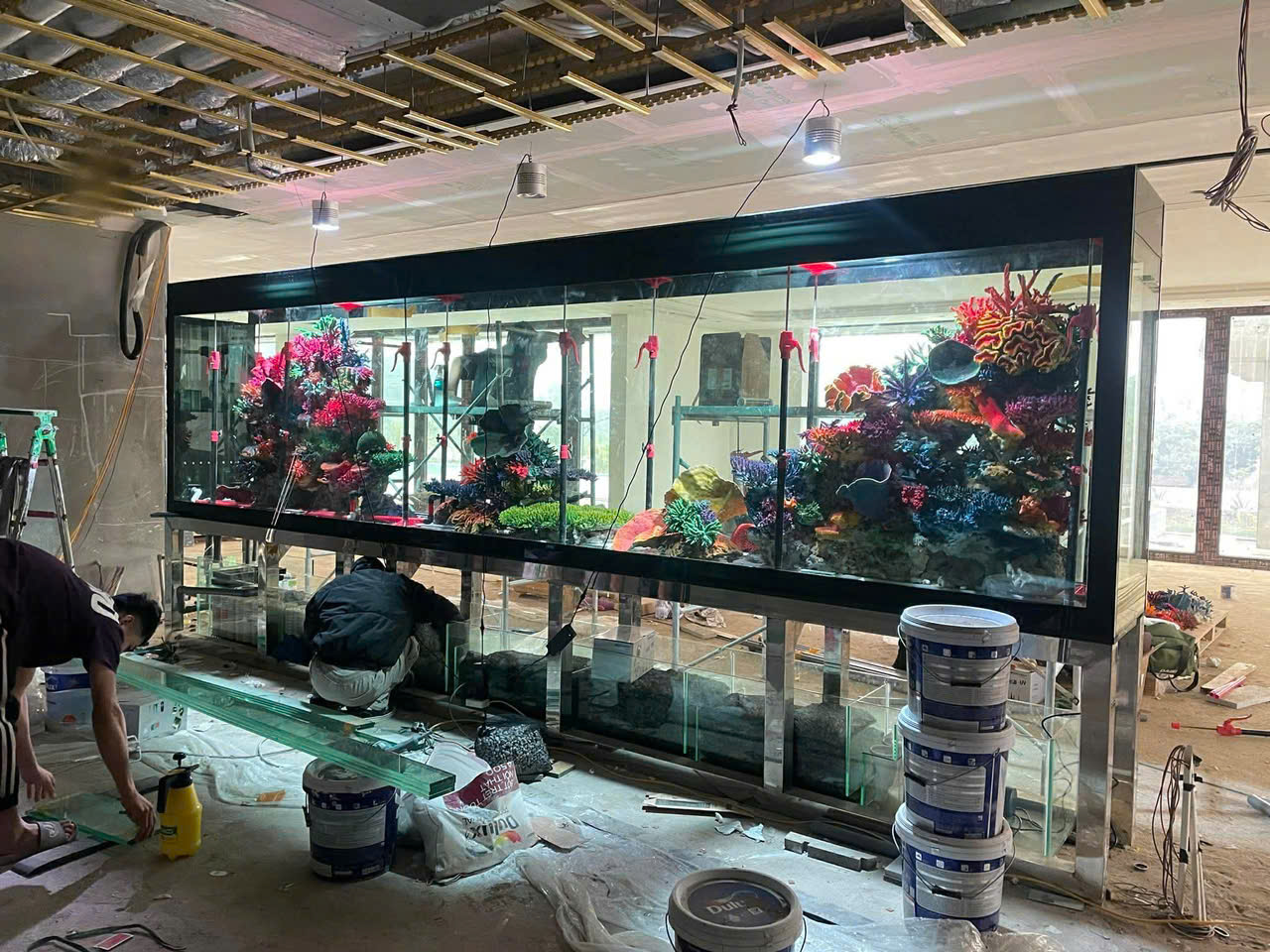 Bộ bể cá
