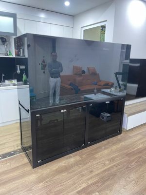 Kích thước bể cá phù hợp phòng khách