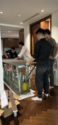 thi công bể cá kính dày nhất