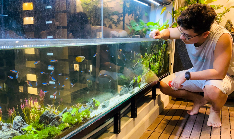 Xử lý nước bể mới