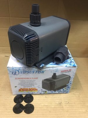 vệ sinh máy bơm bể